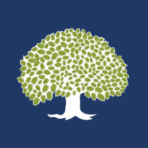 WhiteOak Capital logo